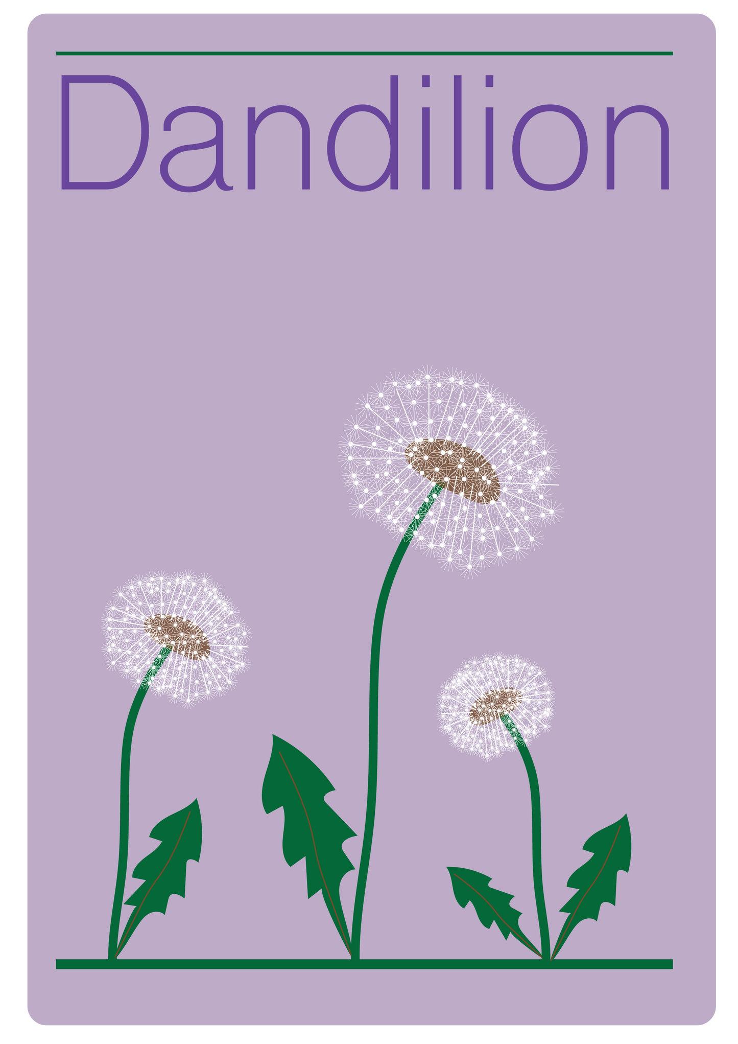 Dandilion