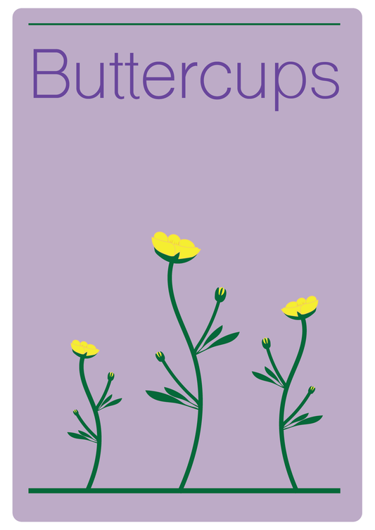 Buttercups